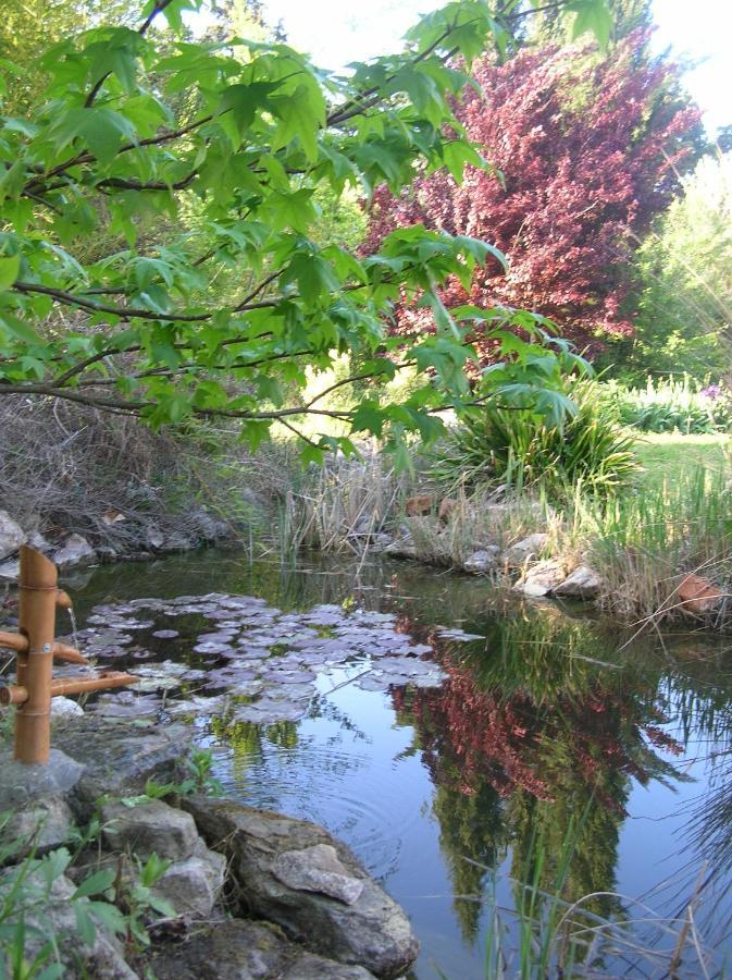 Le Mas De La Cigale Bleue, Caumont Sur Durance Bed and Breakfast Buitenkant foto