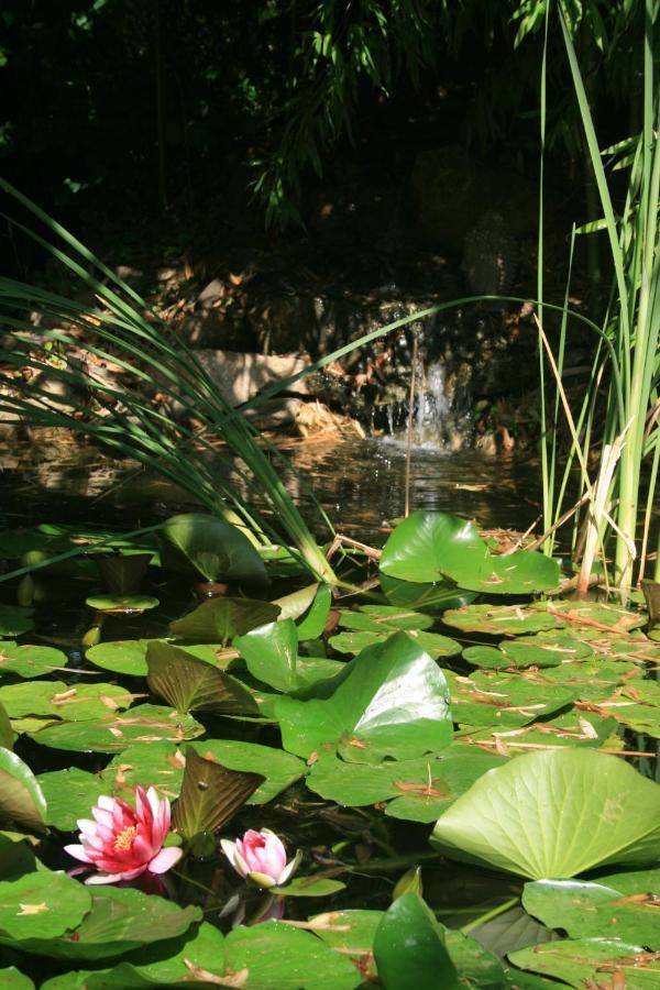 Le Mas De La Cigale Bleue, Caumont Sur Durance Bed and Breakfast Buitenkant foto