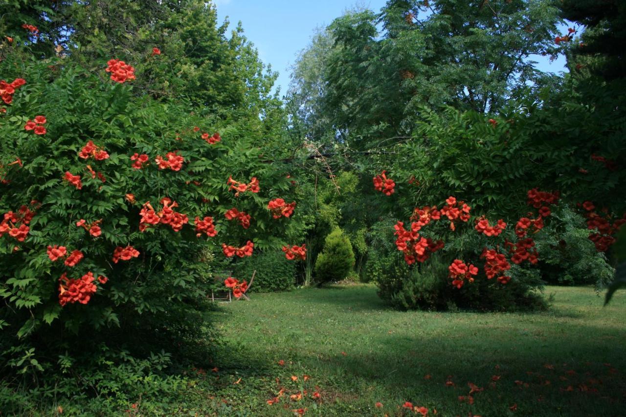 Le Mas De La Cigale Bleue, Caumont Sur Durance Bed and Breakfast Buitenkant foto