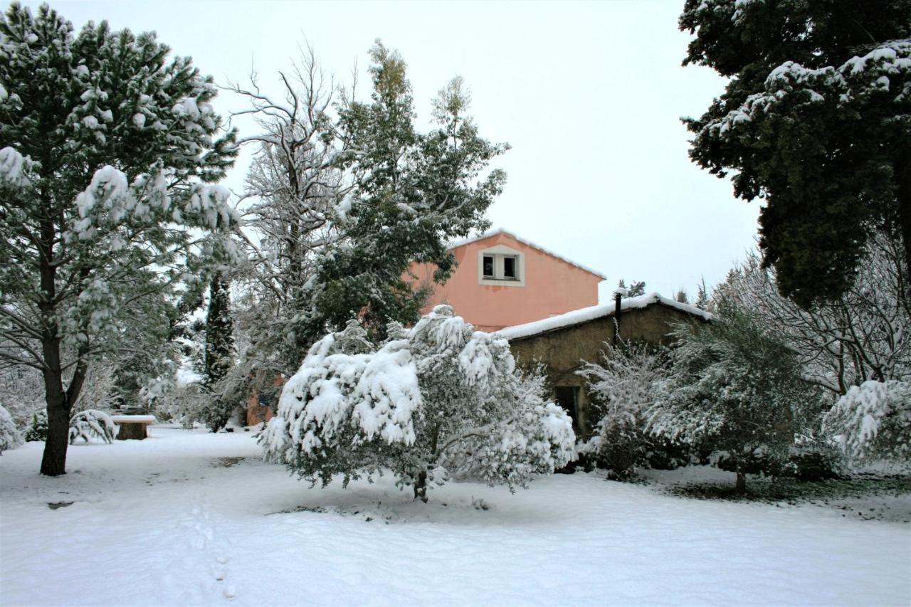 Le Mas De La Cigale Bleue, Caumont Sur Durance Bed and Breakfast Buitenkant foto