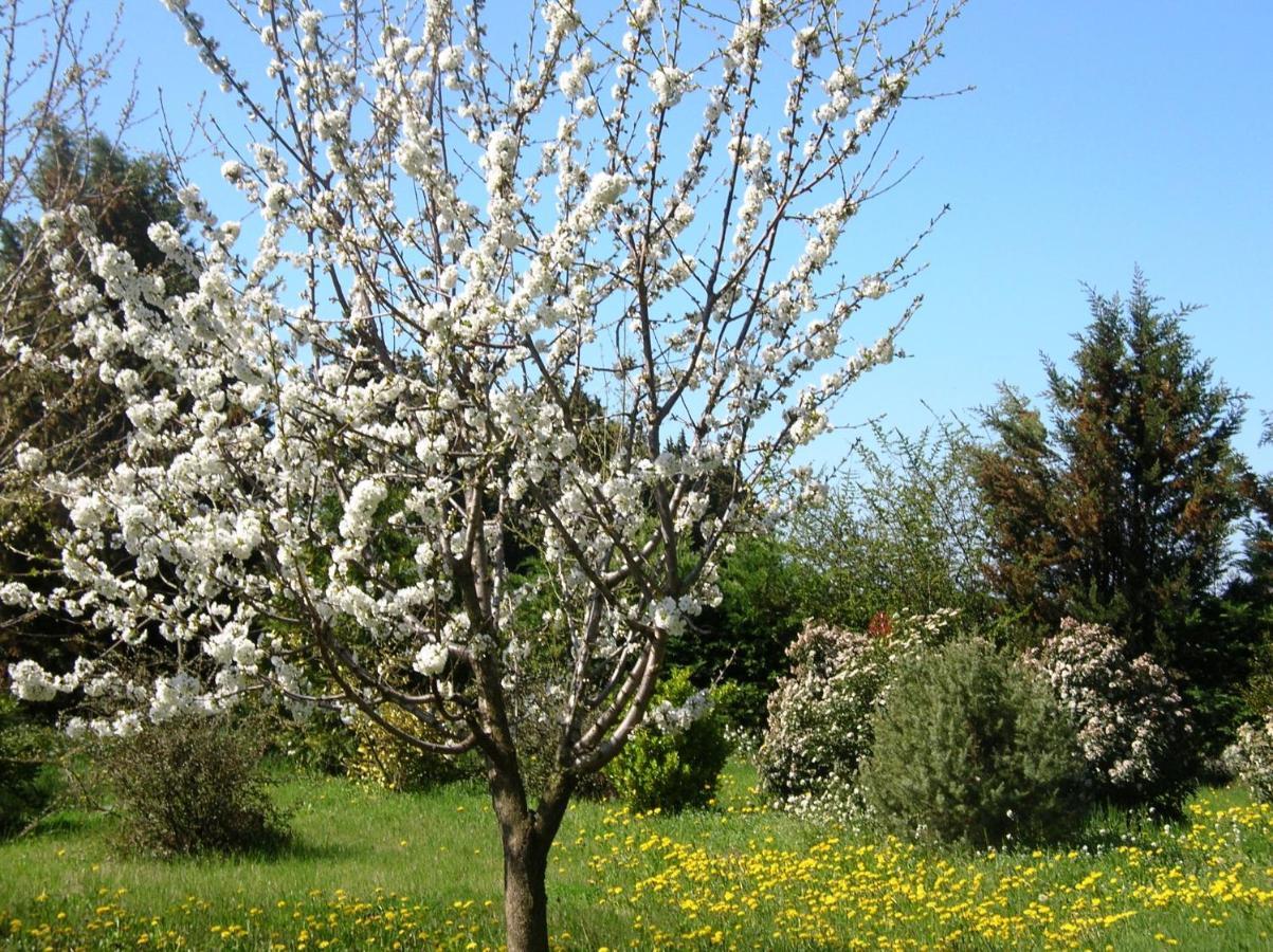 Le Mas De La Cigale Bleue, Caumont Sur Durance Bed and Breakfast Buitenkant foto