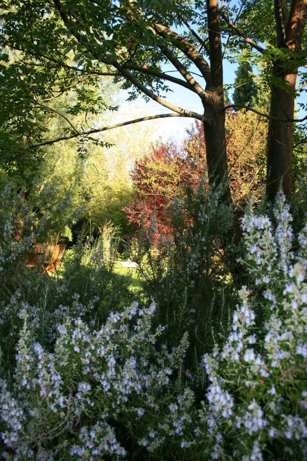 Le Mas De La Cigale Bleue, Caumont Sur Durance Bed and Breakfast Buitenkant foto