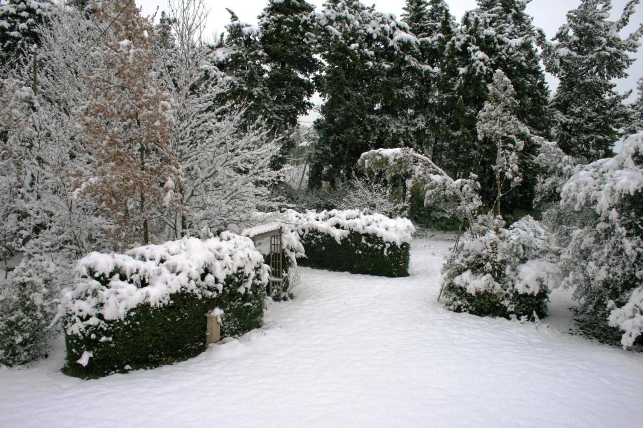 Le Mas De La Cigale Bleue, Caumont Sur Durance Bed and Breakfast Buitenkant foto